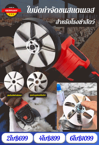 Arbeitssparende Schweinehaar-Schaberscheibe ⚙️🐷