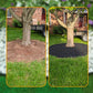 📢📢50% korting!! ⏰Rol tuinafboording (10 m) inclusief 30 haringen🏡Uitrollen, vastzetten – strakke borders in een handomdraai ✨
