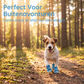 🔥 Speciale Prijs Laatste Dag💥⚡Lichtgewicht Antislip Hondenschoenen van Gaas ☀️🐶 | Geschikt voor Binnen & Buiten op Elk Terrein🐾