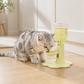 🐱💧 Verstelbare kattenwaterfontein – 3 niveaus, 650 ml, antislip, geef je kat comfortabele hydratatie zonder nekbelasting, altijd vers stromend water 🌊🐾
