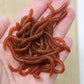 🎣 50% KORTING!  Zacht aas: regenworm – garnalenaroma, verpakking van 50/100 stuks ✨