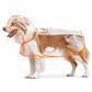 ⏳ Tijdelijke aanbieding⏳ ⛈️ Stormvast & kristalhelder: je hond blijft droog en ziet alles tijdens wandelen