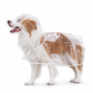 ⏳ Tijdelijke aanbieding⏳ ⛈️ Stormvast & kristalhelder: je hond blijft droog en ziet alles tijdens wandelen